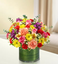 Cherished Memories - Bright Flower Power, Florist Davenport FL